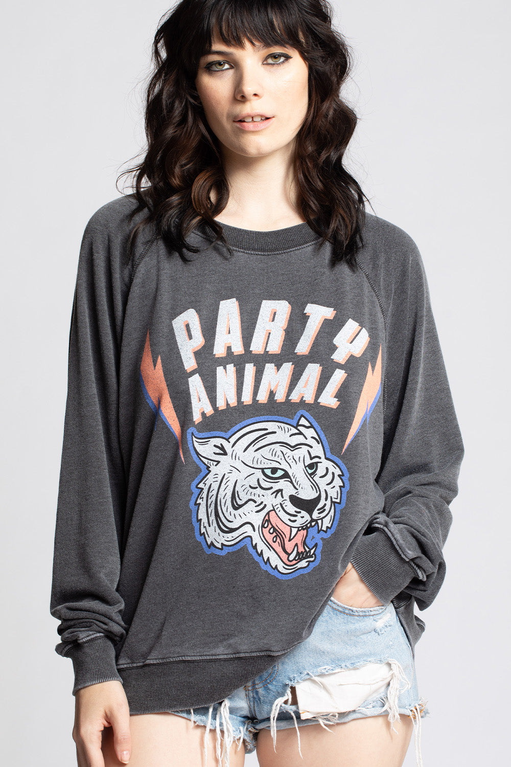 Party Animal Sweatshirt