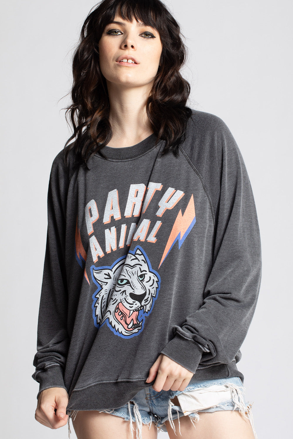 Party Animal Sweatshirt