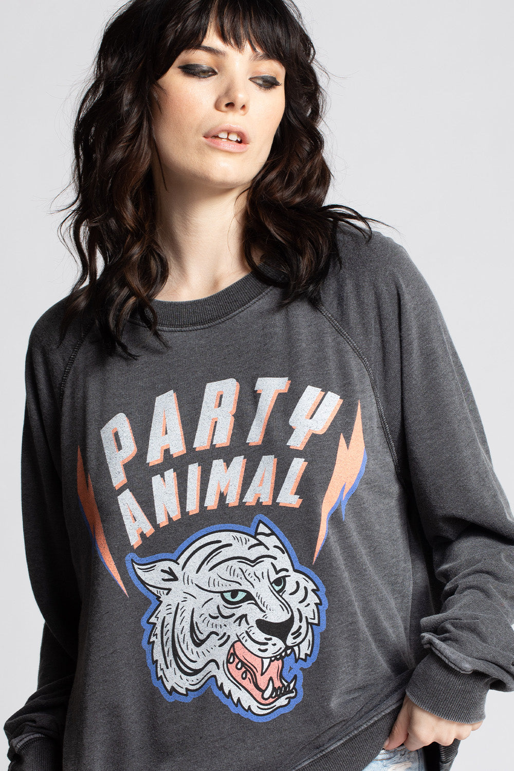 Party Animal Sweatshirt
