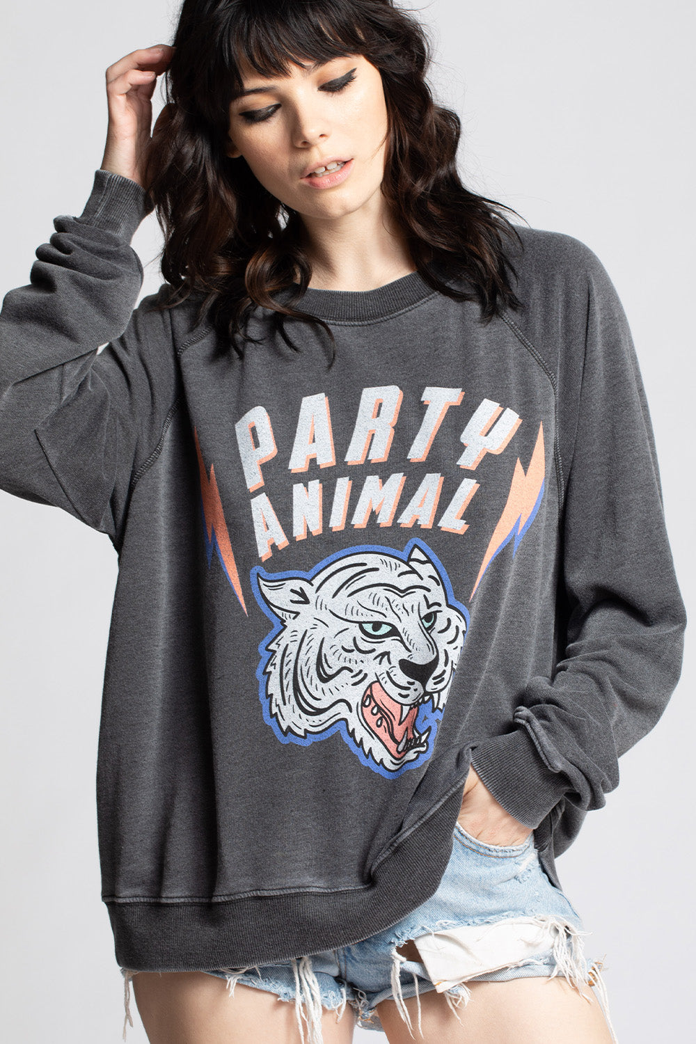Party Animal Sweatshirt