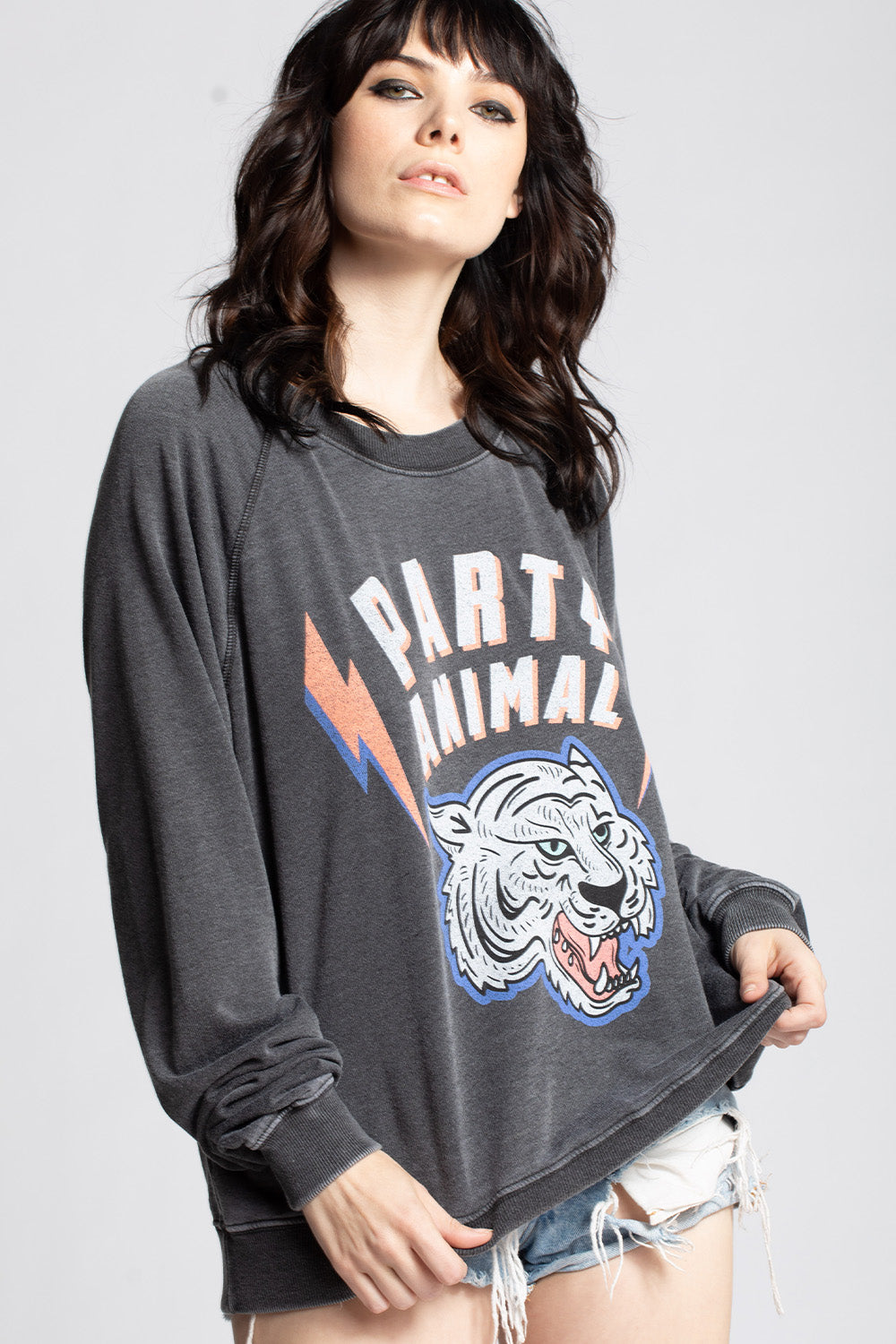 Party Animal Sweatshirt