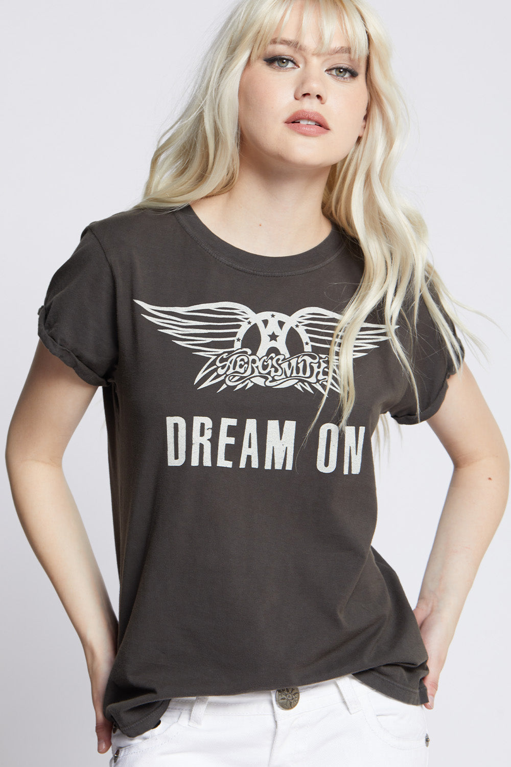 Aerosmith Dream On Vintage Band Logo Tee