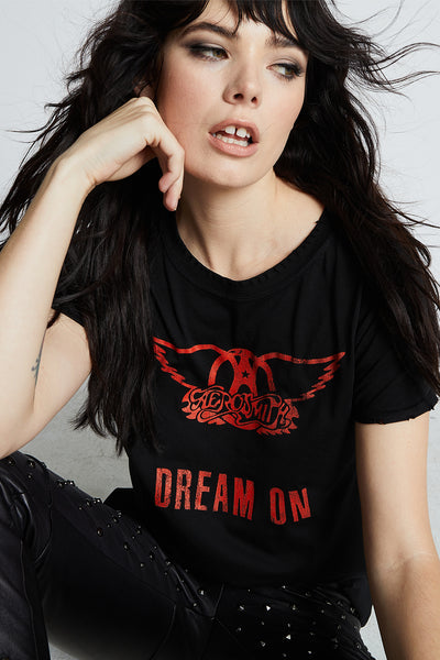 Aerosmith Dream On Tee