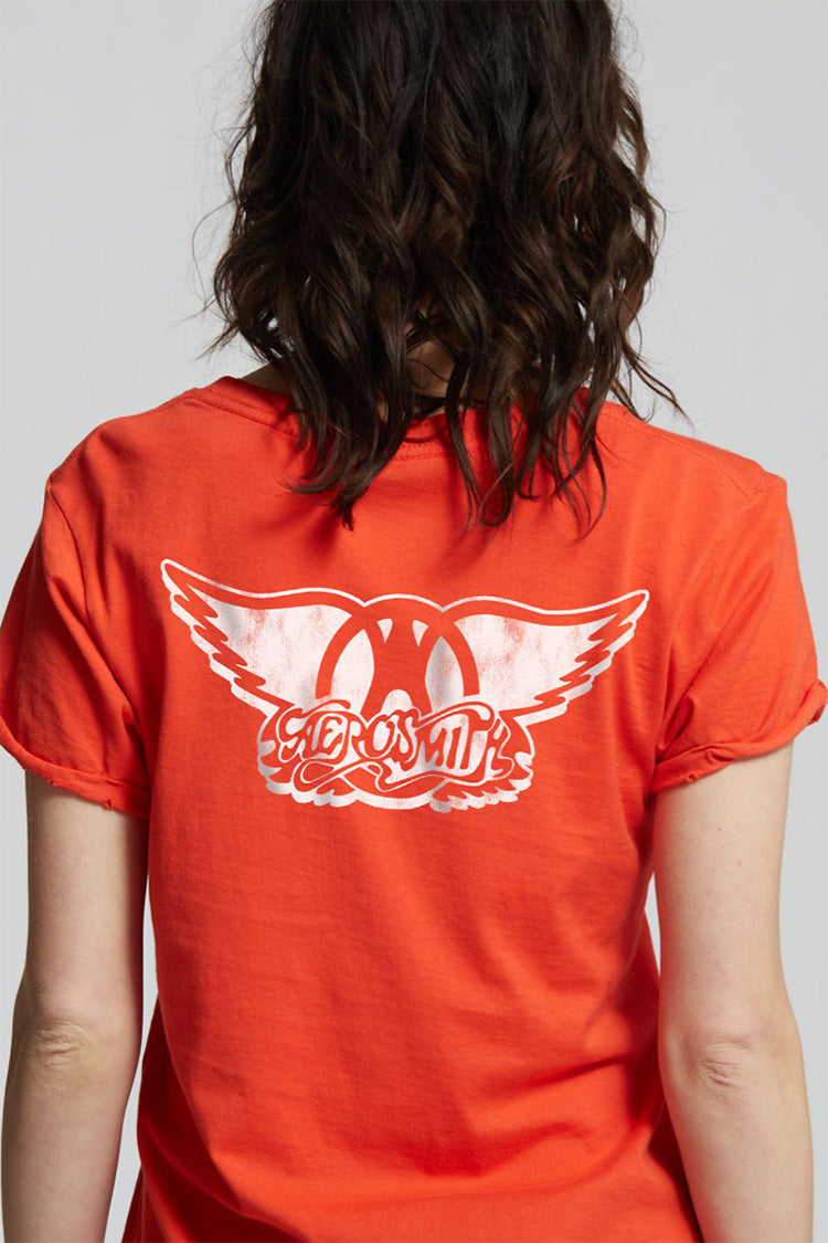 Aerosmith Walk This Way Tee